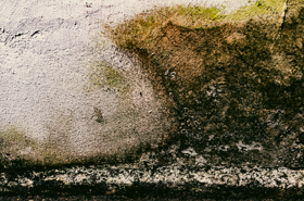 Indvendig fugtsikring af kælder.jpg