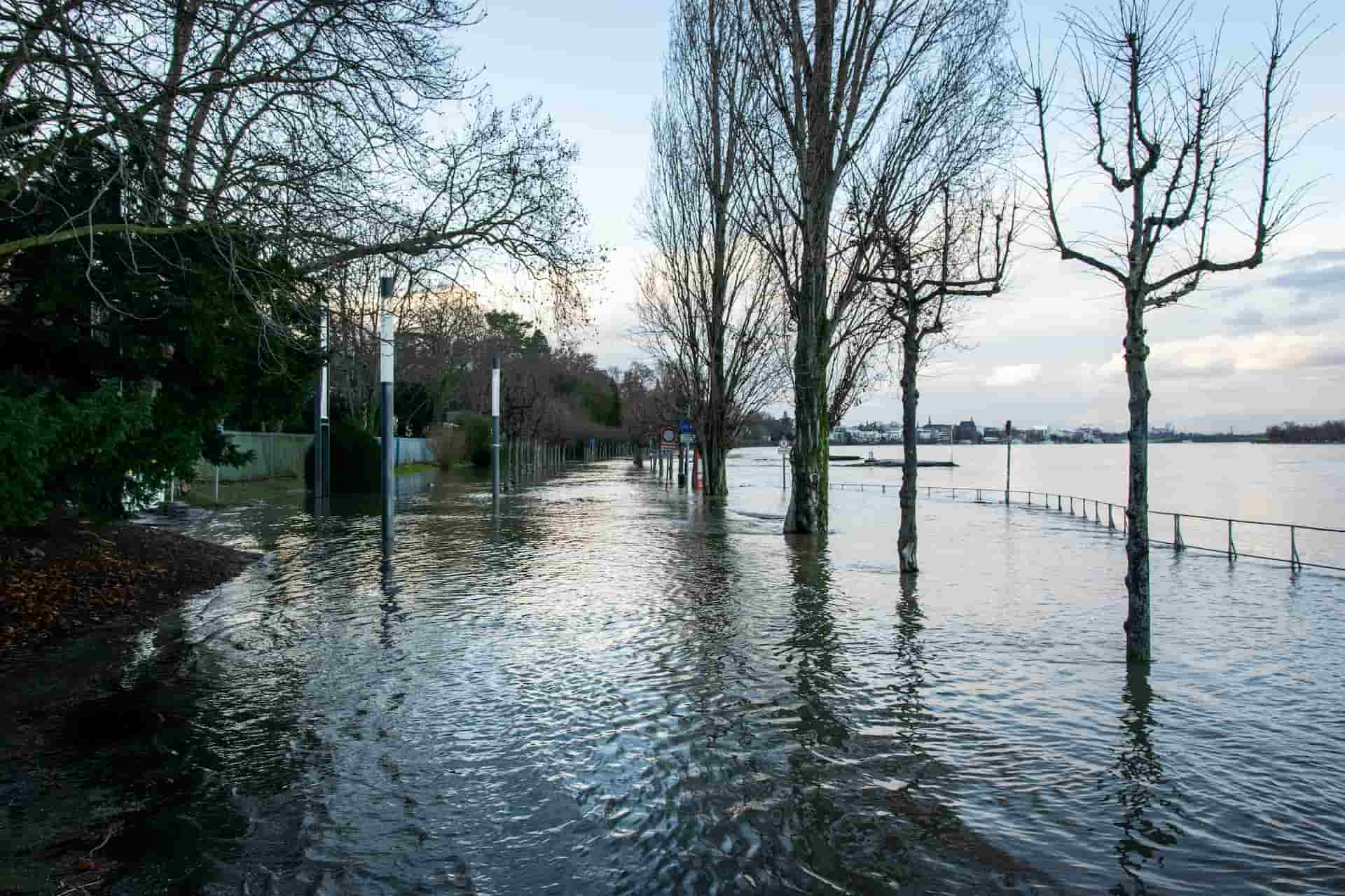 stormflod og oversvømmelse